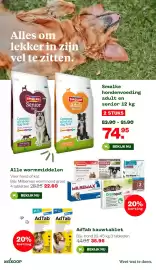 Welkoop folder Pagina 6: Smolke hondenvoeding adult en senior €74,95, Milbemax €22,60