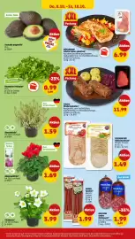 PENNY Prospekt woche 41 Seite 30: Frische Rinderrouladen* €11,99, Alpenveilchen* €1,69