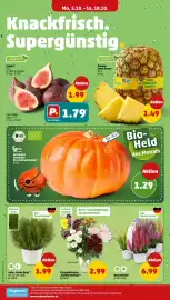 PENNY Prospekt woche 41 Seite 4: Chrysanthemen "Santini Festival" €2,99, Starlight Besenheide* €6,99