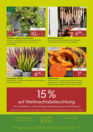 Pflanzen Kölle Prospekt woche 41 Seite 4