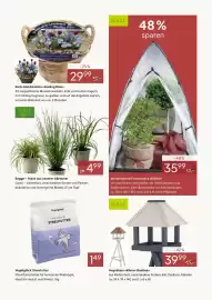 Pflanzen Kölle Prospekt woche 41 Seite 3