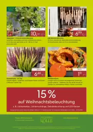 Pflanzen Kölle Prospekt woche 41 Seite 4