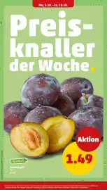 PENNY Prospekt woche 41 Seite 6