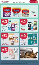 Rossmann Prospekt Seite 3: Somat Vorteilspack €11,99