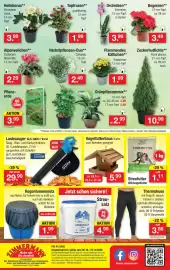 Zimmermann Prospekt woche 41 Seite 10: Vogelfutterhaus Kiefer €5,99, Regentonnennetz €1,99