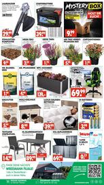 Wreesmann Prospekt woche 41 Seite 8: LAUBSAUGER DORATEX INDUSTRIES €29,99, XXL-AUFLAGENBOX €69,99