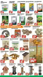 Wreesmann Prospekt woche 41 Seite 4: GRABERDE €1,99, Dolo-nitkalk €4,99