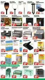 Wreesmann Prospekt woche 41 Seite 5: BAUMLEIMRING €2,99, STAPELSTUHL-ABDECKUNG Top|Garten €7,99
