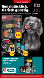 PENNY Prospekt woche 41 Seite 20