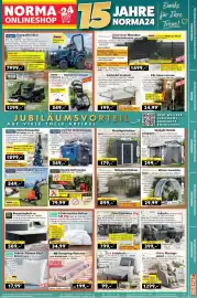 Norma Prospekt woche 42 Seite 17: Scheppach Balkenmäher BMS196-88 €549,00, Hardin Holzgewächshaus €899,00