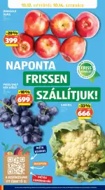 ALDI akciós újság hét 40 Oldal 28