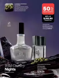Catálogo Avon Página 100