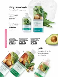 Catálogo Avon Página 171