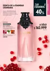 Catálogo Oriflame Página 93
