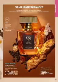 Catálogo Oriflame Página 99