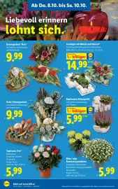 Lidl Flugblatt woche 41 Seite 30