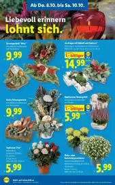 Lidl Flugblatt woche 41 Seite 30