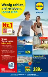 Lidl Flugblatt woche 41 Seite 31