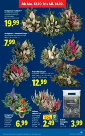 Lidl Flugblatt woche 41 Seite 34