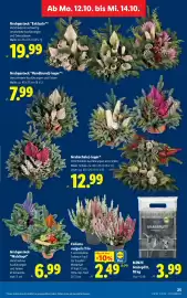 Lidl Flugblatt woche 41 Seite 34