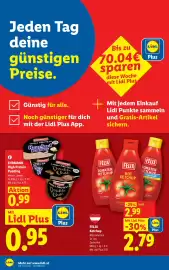 Lidl Flugblatt woche 41 Seite 8