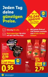 Lidl Flugblatt woche 41 Seite 8: Ehrmann High Protein Pudding €0,99, Felix Ketchup €2,99
