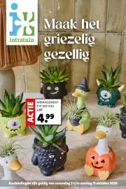 Intratuin folder week 41 Pagina 1: Arrangement eye see you €4,99