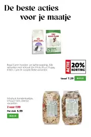 Intratuin folder week 41 Pagina 10: Intratuin hondenkoekjes €7,99, Royal Canin honden- en kattenvoeding €7,29