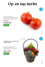 Intratuin folder week 41 Pagina 14: Najaarsarrangement €19,99, Eetbare pompoen €5,00