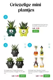 Intratuin folder week 41 Pagina 2: Arrangement Spooky Goose €7,99, Arrangement Happy Monsters €4,99