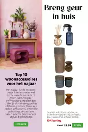 Intratuin folder week 41 Pagina 7: Geurlijn Indi €15,99