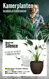 Hornbach folder Pagina 61: FloraSelf Alocasia "Tiny Dancer" Olifantsoor €6,99, Pasiion for Pottery Bloempot "Le Havre" €7,99