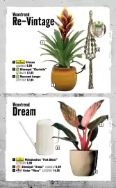 Hornbach folder Pagina 62: FloraSelf Philodendron "Pink Bikini" €9,99, Woontrend Re-Vintage FloraSelf Vriesea €9,99