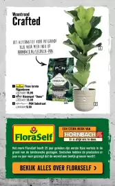 Hornbach folder Pagina 63: FloraSelf Ficus Lyrata Vijgenboom €19,95, Elho Bloempot Dune €13,49