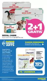 Ranzijn folder Pagina 8