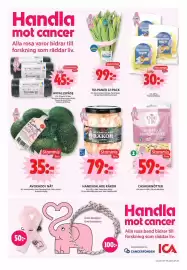 ICA Maxi reklamblad vecka 41 Sida 4