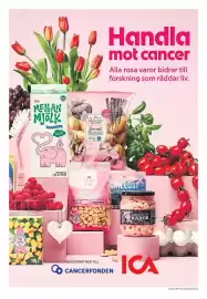 ICA Maxi reklamblad vecka 41 Sida 5