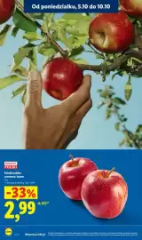 Lidl gazetka tydzień 41 Strona 10