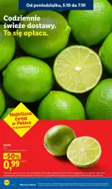 Lidl gazetka tydzień 41 Strona 10