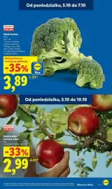 Lidl gazetka tydzień 41 Strona 11