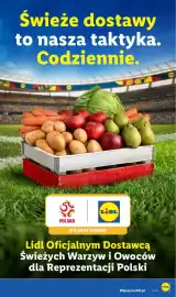 Lidl gazetka tydzień 41 Strona 3