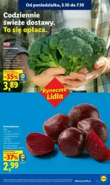 Lidl gazetka tydzień 41 Strona 35