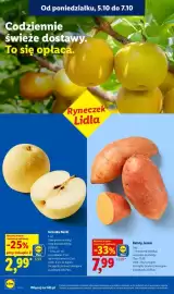 Lidl gazetka tydzień 41 Strona 38