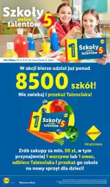 Lidl gazetka tydzień 41 Strona 4