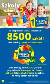 Lidl gazetka tydzień 41 Strona 4