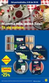 Lidl gazetka tydzień 41 Strona 47
