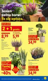 Lidl gazetka tydzień 41 Strona 89