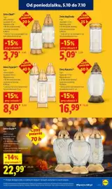 Lidl gazetka tydzień 41 Strona 91