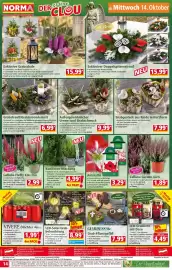 Norma Prospekt woche 42 Seite 14