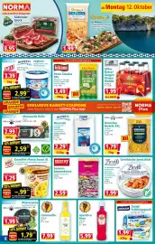 Norma Prospekt woche 42 Seite 8